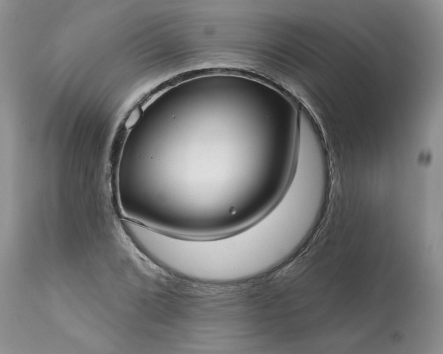 X0000113611072200910021759