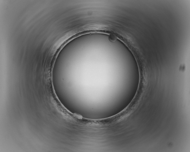 X0000113611073200910021759