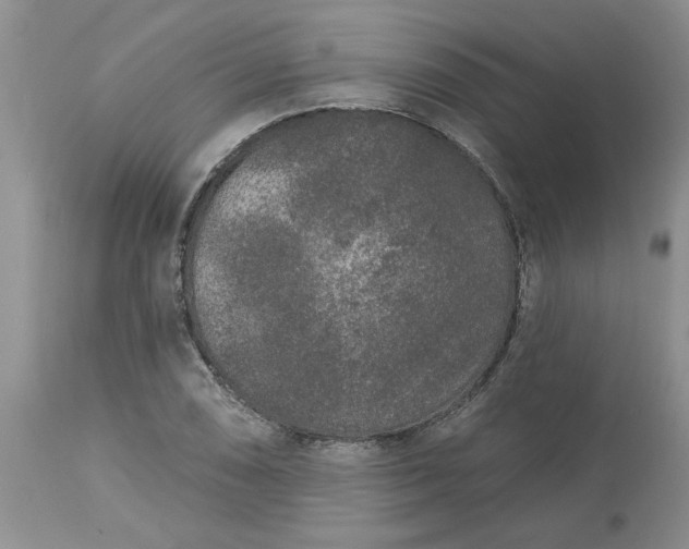 X0000113611074200910021759