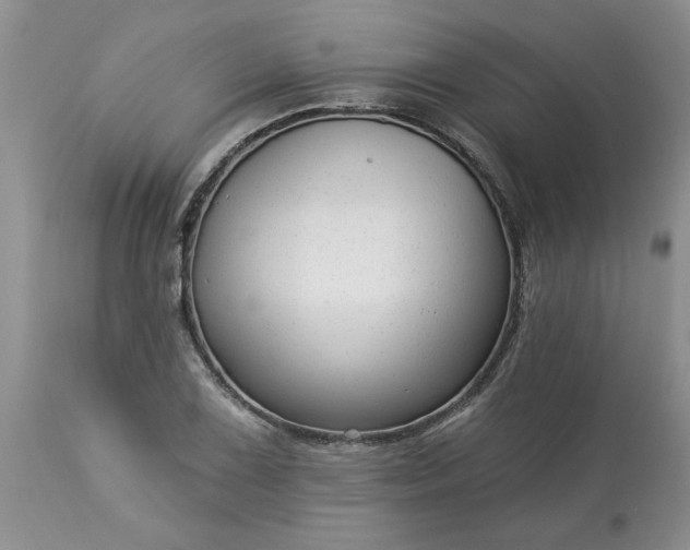 X0000113611075200910021759