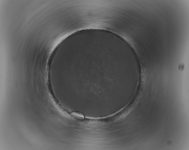 X0000113611077200910021759