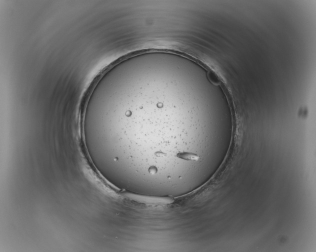 X0000113611080200910021759