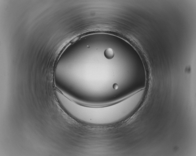 X0000113611081200910021759