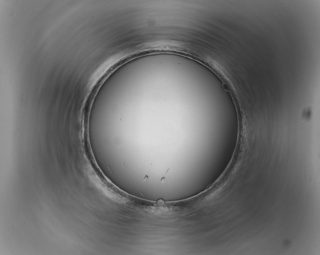 X0000113611082200910021759