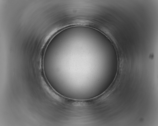 X0000113611083200910021759