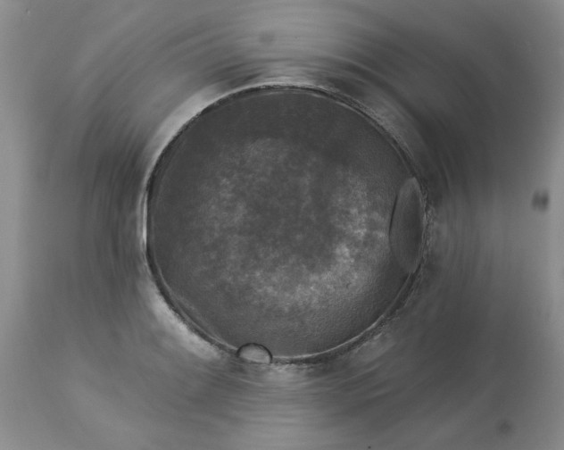 X0000113611084200910021759