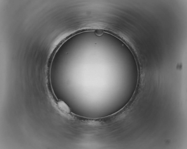 X0000113611085200910021759