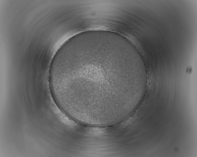 X0000113611086200910021759