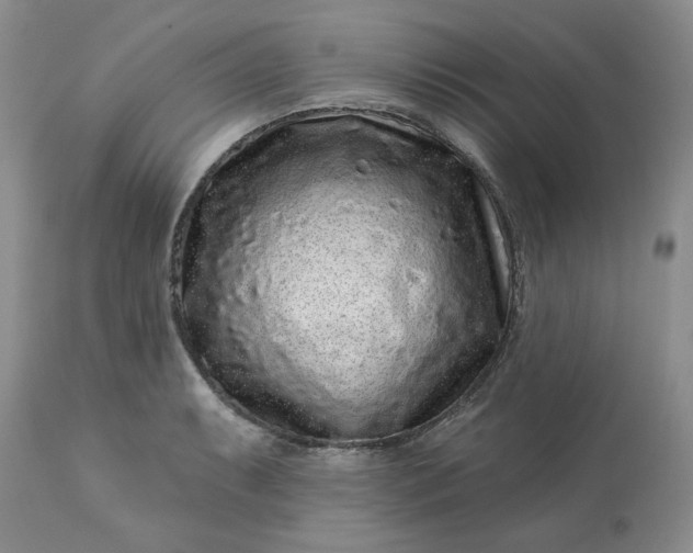 X0000113611087200910021759