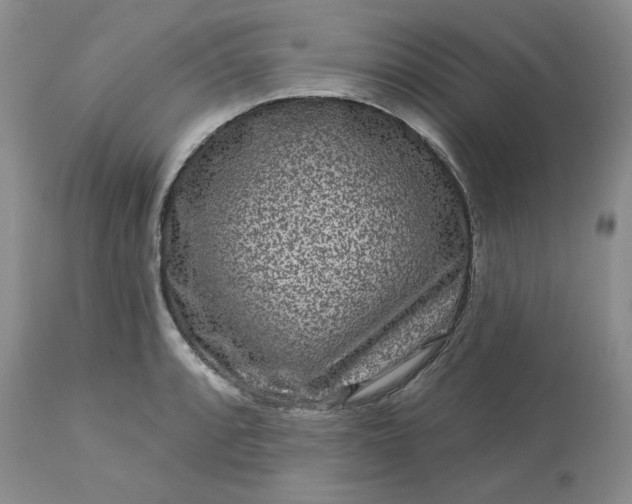 X0000113611088200910021759