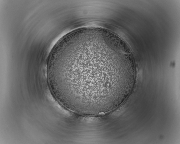 X0000113611092200910021758