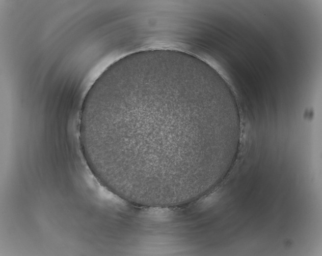 X0000113611094200910021758