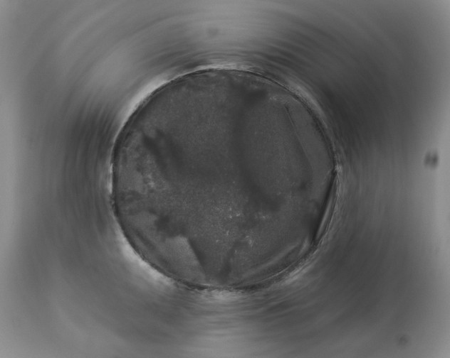 X0000113611095200910021758