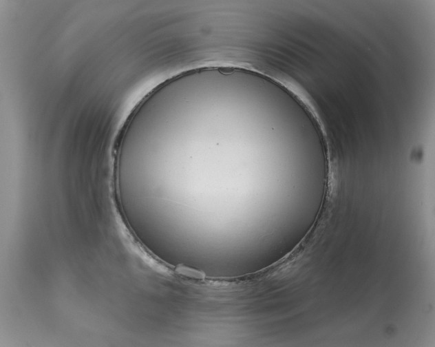 X0000113611096200910021758