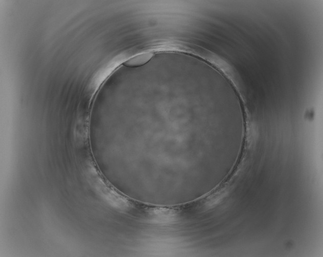 X0000113611097200910021758