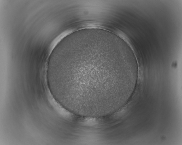 X0000113611098200910021758