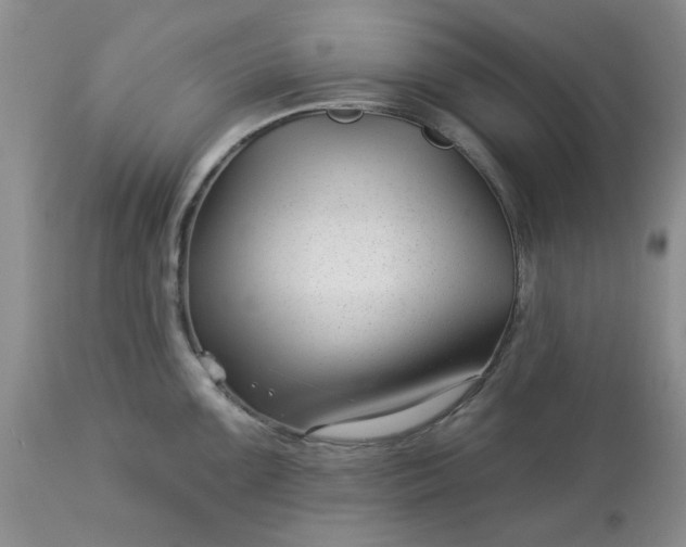 X0000113611099200910021758