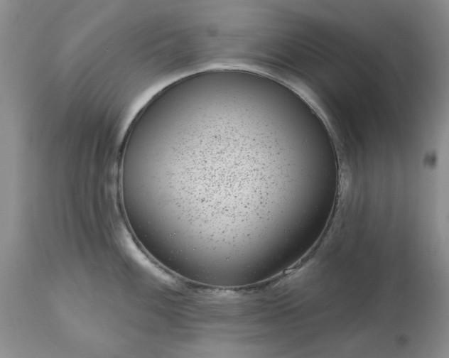 X0000113611100200910021758