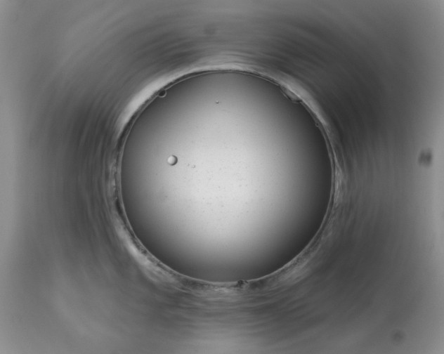 X0000113611101200910021758