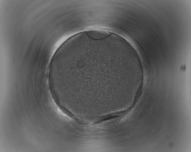 X0000113611102200910021758