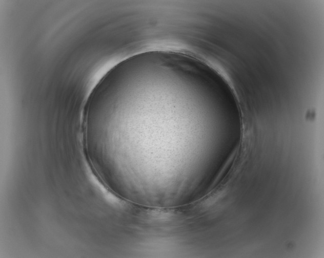 X0000113611103200910021758