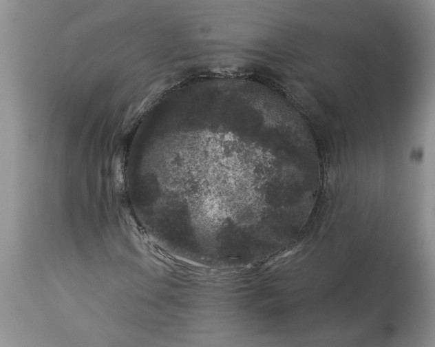 X0000113611106200910021758