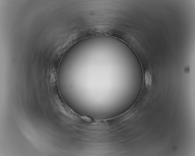 X0000113611107200910021758