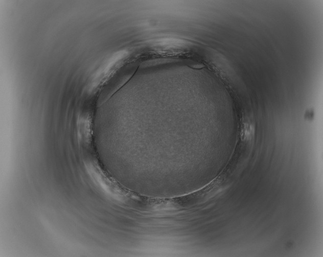 X0000113611108200910021758