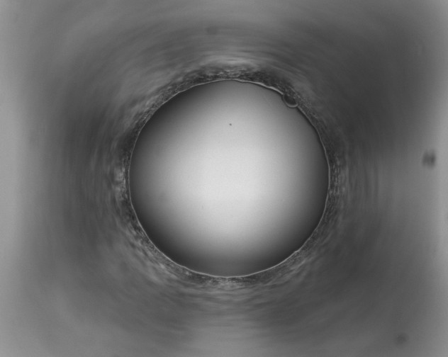 X0000113611109200910021758