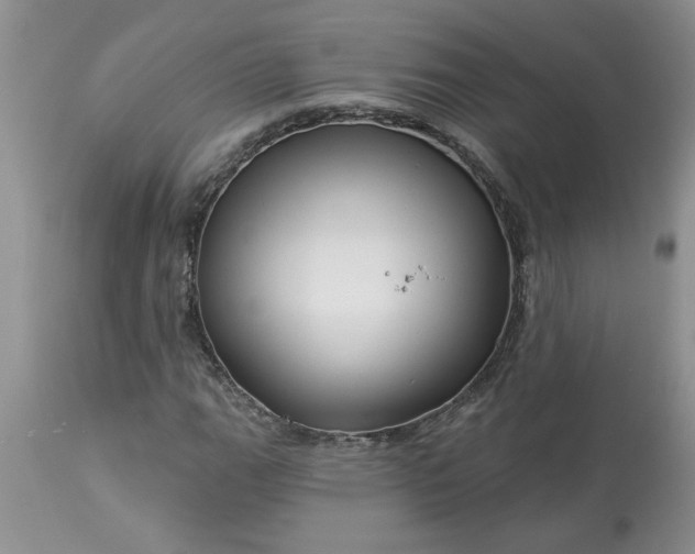 X0000113611111200910021758