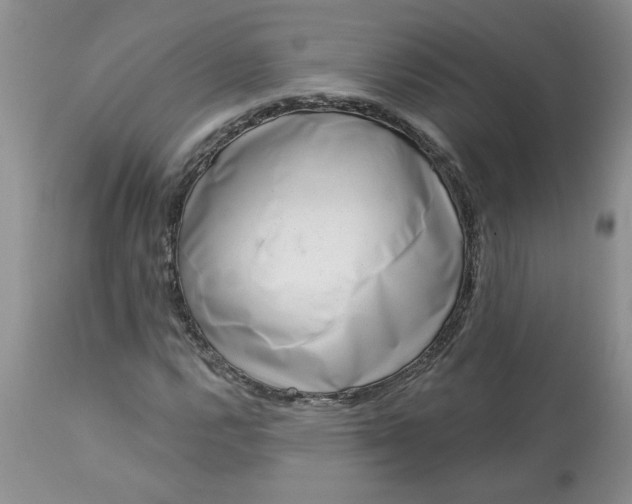 X0000113611112200910021758