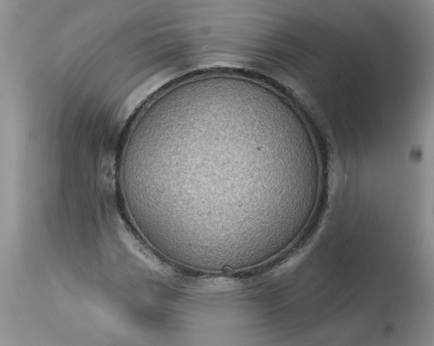 X0000113611113200910021758