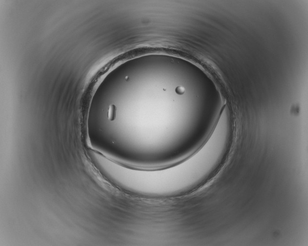 X0000113611114200910021758