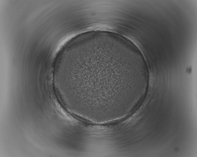 X0000113611115200910021758