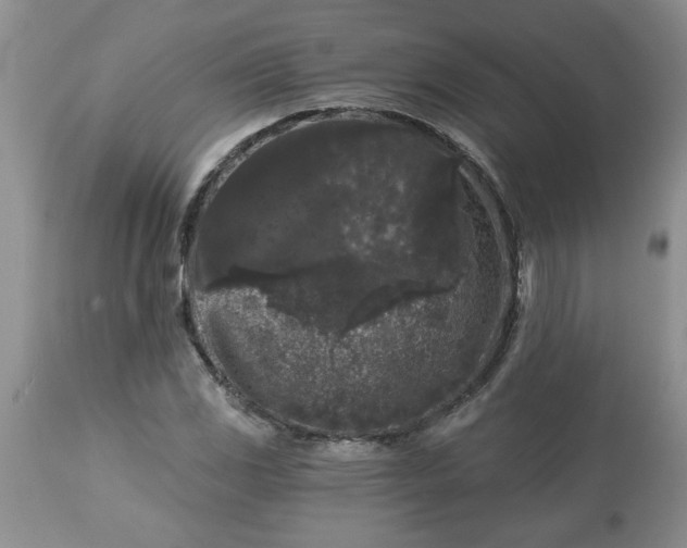 X0000113611117200910021758