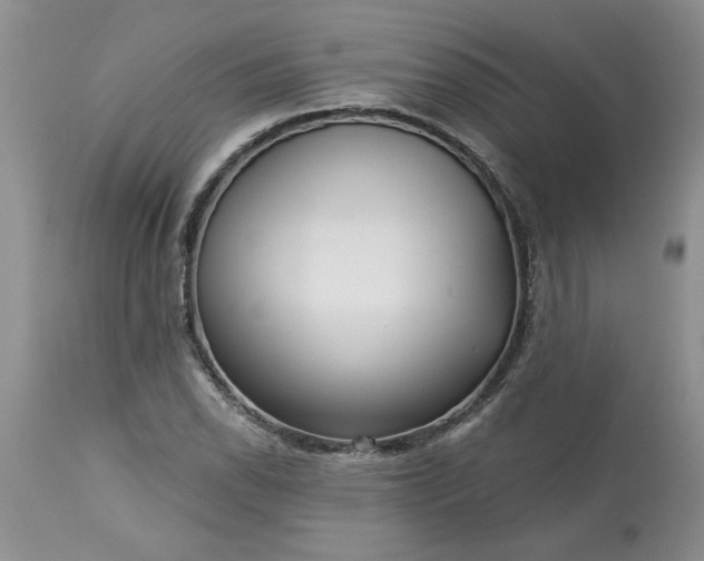 X0000113611118200910021758