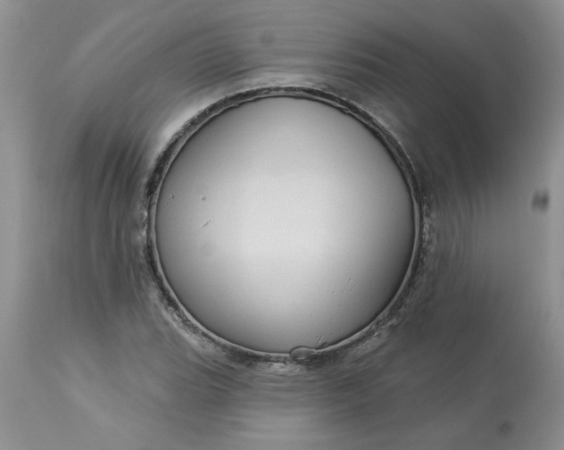 X0000113611119200910021758