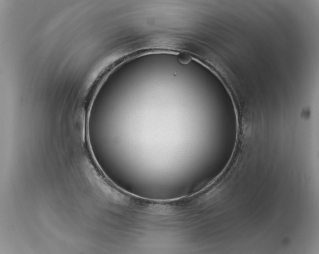 X0000113611123200910021758