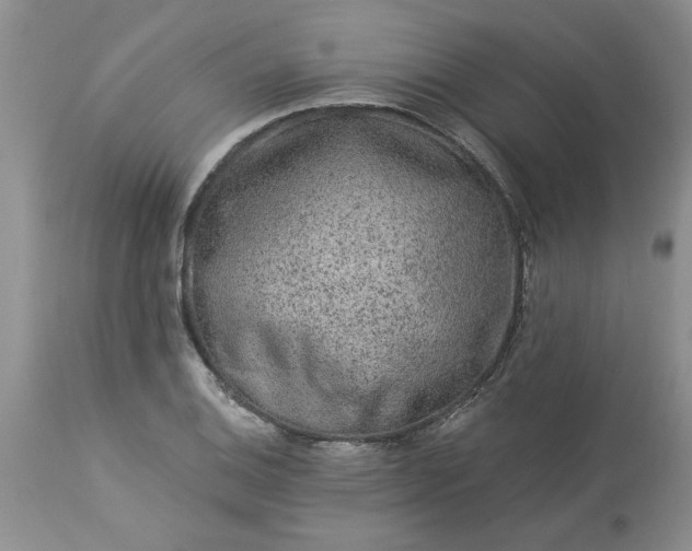 X0000113611124200910021758