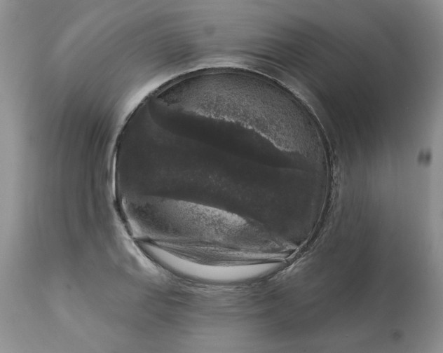 X0000113611127200910021758