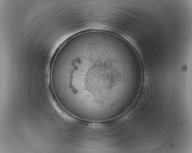 X0000113611128200910021758