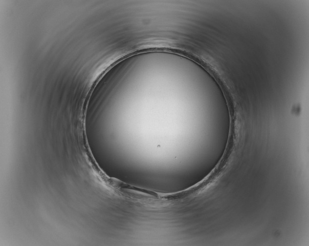 X0000113611129200910021758