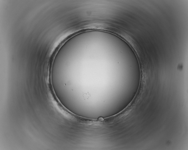 X0000113611131200910021758