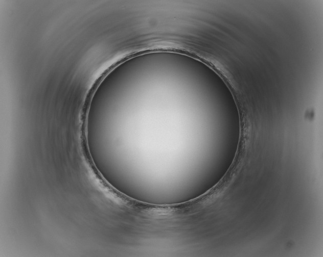 X0000113611134200910021758