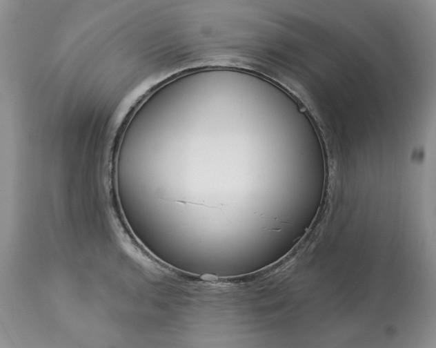 X0000113611136200910021758