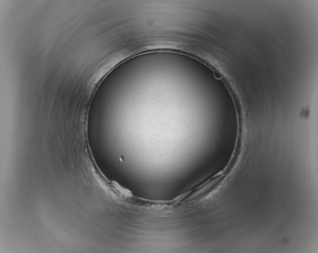 X0000113611137200910021758