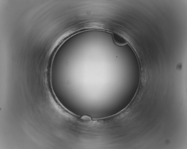 X0000113611139200910021758