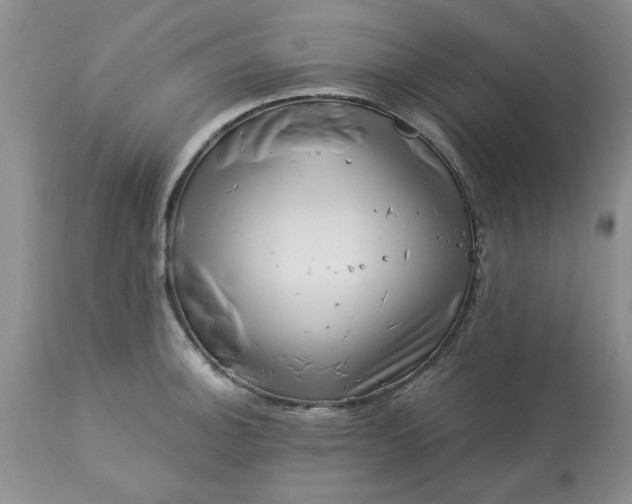 X0000113611140200910021758