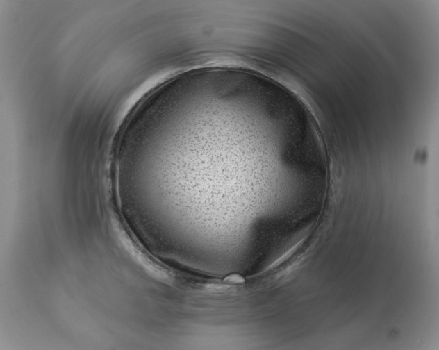 X0000113611142200910021758