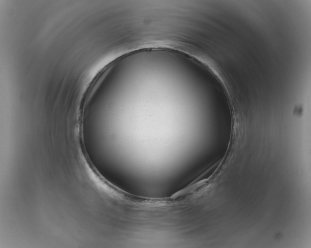 X0000113611143200910021758